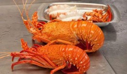 吃瓜澳洲吃龙虾视频在线观看