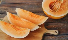 吃蜜瓜过敏的表现,了解身体反应，守护健康生活