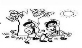 吃小瓜看图写话,探寻民间美味