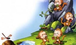 给猴王吃瓜,瓜果盛宴中的欢乐时光