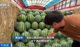吃瓜宿舍楼,校园生活里的欢乐源泉