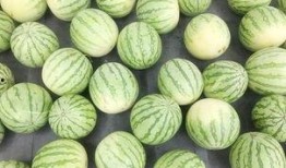 什么叫真正的吃瓜,何为真正的“吃瓜群众”