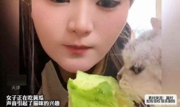 女生发看戏吃瓜,瓜田品百态——女性视角下的娱乐世界