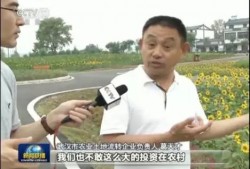 新闻联播吃瓜,揭秘幕后真相与公众反响