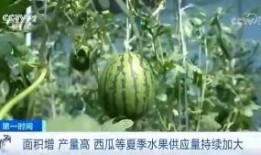 汾阳吃瓜群众
