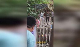 魏县吃瓜最新视频曝光,最新视频曝光揭示惊人内幕