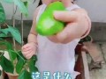 小孩吃瓜变成女孩,吃瓜男孩变身女孩的神奇之旅