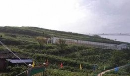 巫溪吃瓜事件始末