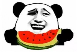 吃瓜圣人完整版