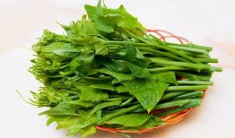 吃瓜尖怎么发,揭秘网络热点的诞生与传播