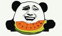 吃瓜的瓜是啥意思,网络流行语的趣味解读