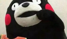 吃瓜群众老鼠视频大全