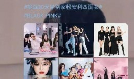 吃瓜内娱tnt,揭秘娱乐圈的“吃瓜”盛宴