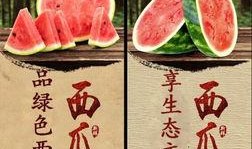 河北廊坊文安吃瓜,夏日炎炎，吃瓜群众欢乐多