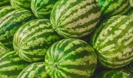 福州博主吃瓜