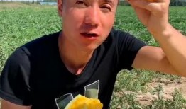 吃瓜样子合拍,笑看风云