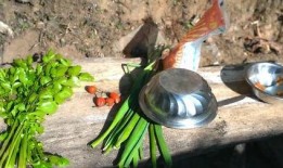 尼泊尔山区吃白瓜,白瓜的滋养与生活智慧