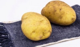 刘大瓜吃土豆,刘大瓜的土豆美食之旅