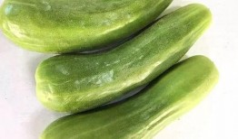 民生花园吃瓜,吃瓜群众的热议焦点