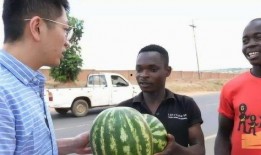 瓜不能随便吃视频,揭秘不能随便吃的瓜类真相