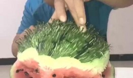 厨师圈吃瓜,一场关于美食与八卦的狂欢盛宴