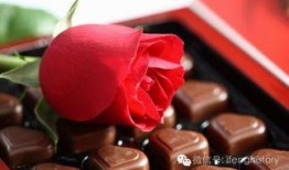 巧克力吃瓜群众玫瑰,甜蜜瓜群众的浪漫生活