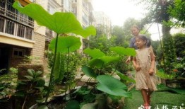 民生花园吃瓜,吃瓜群众的热议焦点