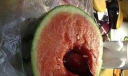 外科医院吃瓜最近,揭秘医疗界的趣味瞬间