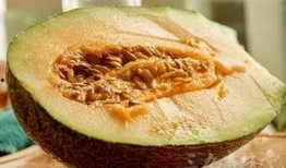 孕吐可以吃哈密瓜吗,哈密瓜的天然滋养之道