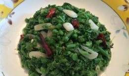 吃瓜尖怎么发,揭秘网络热点的诞生与传播