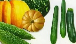 三谋定天下吃瓜