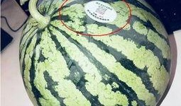 宾阳网红吃瓜,揭秘网络热点背后的故事