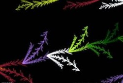 吃瓜抽象视频,揭秘娱乐圈幕后故事