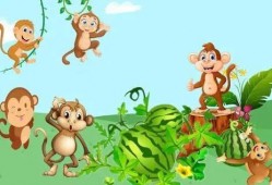 给猴王吃瓜,瓜果盛宴中的欢乐时光