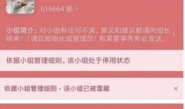 豆瓣吃瓜小组暗号,暗号背后的娱乐风云