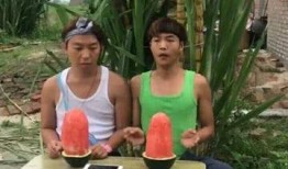 吃瓜找人,从瓜田到心田的感悟之旅