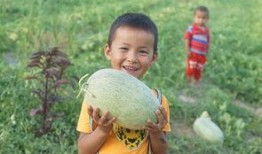 吃瓜群众小孩成都,成都小吃瓜群众小孩的欢乐时光