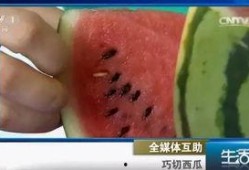 吃瓜不吐籽77,一场关于瓜果与人生的趣味对话