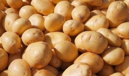 刘大瓜吃土豆,刘大瓜的土豆美食之旅