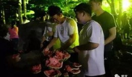 汉口学院吃瓜事件,校园风波背后的真相探寻