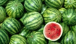 网络吃瓜吃撑了怎么恢复,如何轻松恢复身心平衡