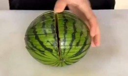 厨师圈吃瓜,一场关于美食与八卦的狂欢盛宴