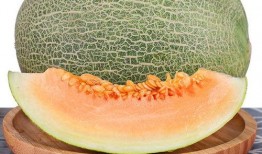 网纹蜜瓜孕妇可以吃吗,孕妇食用指南与注意事项