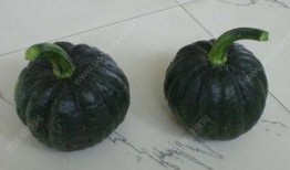 吃方瓜过敏,饮食安全与过敏预防指南