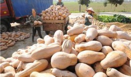 清河社区吃瓜,邻里琐事成热门话题