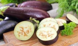 试管促排期可以吃茄瓜吗