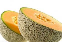 孕吐可以吃哈密瓜吗,哈密瓜的天然滋养之道