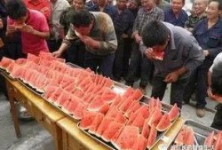 大信吃瓜比赛,一场舌尖上的狂欢盛宴