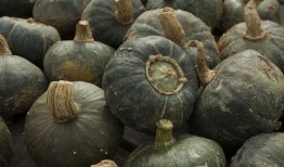 楠瓜可以和洋葱一起吃吗,健康美味两不误