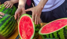 最新大学吃瓜视频,揭秘大学吃瓜视频背后的热点事件